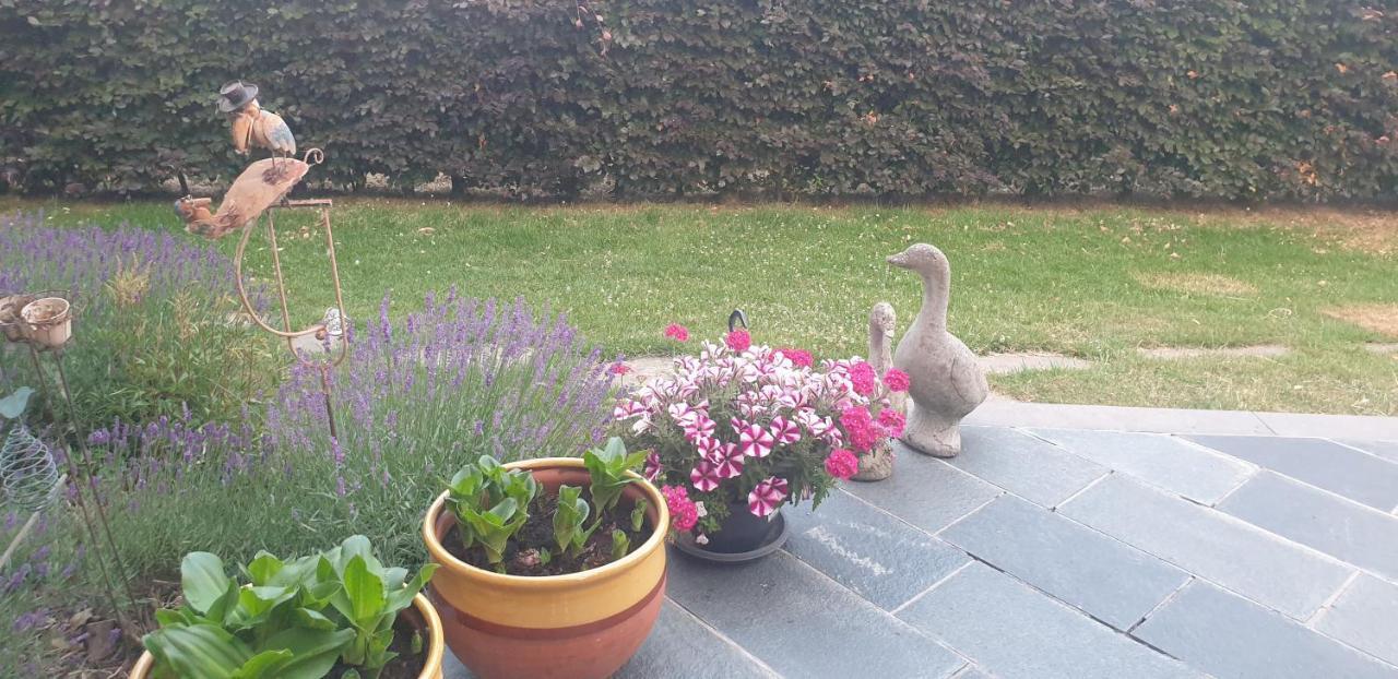 Logeren In Aldeneik Διαμέρισμα Maaseik Εξωτερικό φωτογραφία